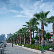 Riverside Promenade Park And Skyscrapers In Downtown Xiamen City Poster