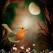 Robin In The Moonlight Poster