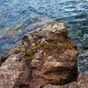 Rock With Face And Lichen Poster