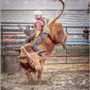 Rodeo Cowboy Poster