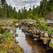 Rogue River Near Union Creek Poster