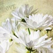 Romance And White Daisies Poster