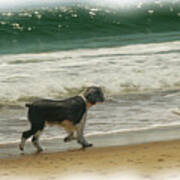 Romp On The Beach Poster