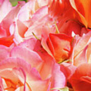 Rose Bouquet Floral Art Prints Garden Roses Baslee Troutman Poster