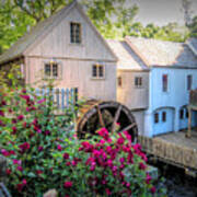 Roses At The Plimoth Grist Mill Poster