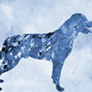 Rottweiler-blue Poster
