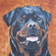 Rottweiler Poster