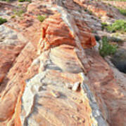 Row Of Sandstone In Valley Of Fire Poster