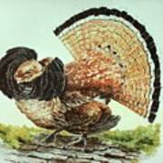Ruffed Grouse Poster