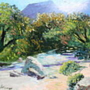 Sabino Canyon In The Morning Poster