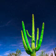 Saguaro Cactus Against Star Filled Sky Poster