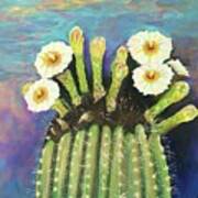 Saguaro Cactus Flower Poster