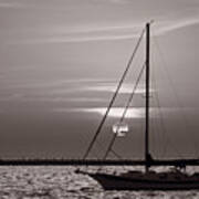 Sailboat Sunrise In B And W Poster