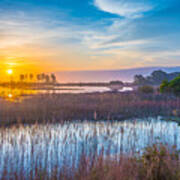 Salt Marsh Sunrise Ii Poster