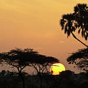 Samburu Sunrise Poster