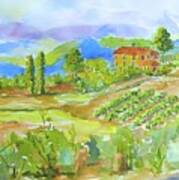 Vineyard At San Gimignano Poster