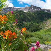 San Juans Indian Paintbrush Landscape Poster