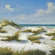 Sand Dunes Morning By Alan Zawacki Poster