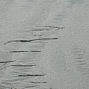 Sand, Kelp, Water. Tofino 2007 Poster
