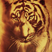 Sandy Tiger. Golden Poster