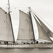 Schooner Harvey Gamage Of Islesboro Maine Poster