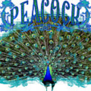 Scroll Swirl Art Deco Nouveau Peacock W Tail Feathers Spread Poster
