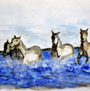 Sea Horses Poster