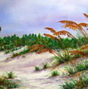 Sea Oats In The Dunes Poster