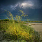 Sea Oats In The Storm Poster