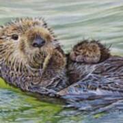 Sea Otter Poster