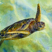 Sea Turtle 2 Poster