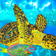 Sea Turtle And Parrotfish Poster