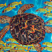 Sea Turtle With Schooling Fish Poster