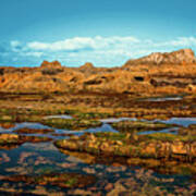 Seal Rock Beach Oregon Poster