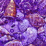 Seashells Abstract In Violet Poster