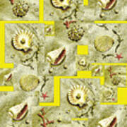 Seashells On Lemon Yellow Poster