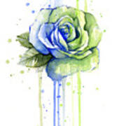 Seattle 12th Man Seahawks Watercolor Rose Poster