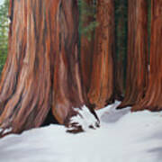 Sequoias Poster