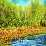 Serene Green Pond Poster