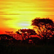 Serengeti Sunset Poster