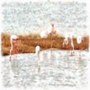 Seven Flamingos A Feeding Watercolor Poster