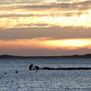 Shellfishing, Wellfleet Poster