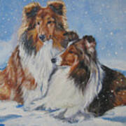 Sheltie Pair Poster