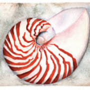 Shimmering Nautilus Poster