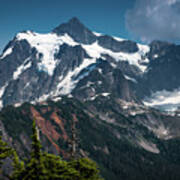 Shuksan Beauty Poster