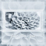 Dahlias Silver Gray Just For You Poster