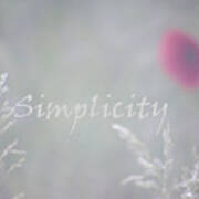 Simplicity Misty Poppy Poster