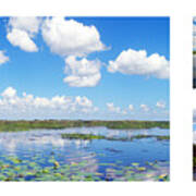 Skyscape Reflections Blue Cypress Marsh Collage 2 Poster