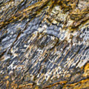 Slaty Cleavage - Denhams Beach - Nsw - Australia Poster