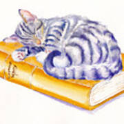 Tabby Kitten - Sleeping Beauty Poster